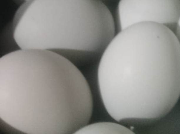 Telur Asin Mama Asih 3 pcs